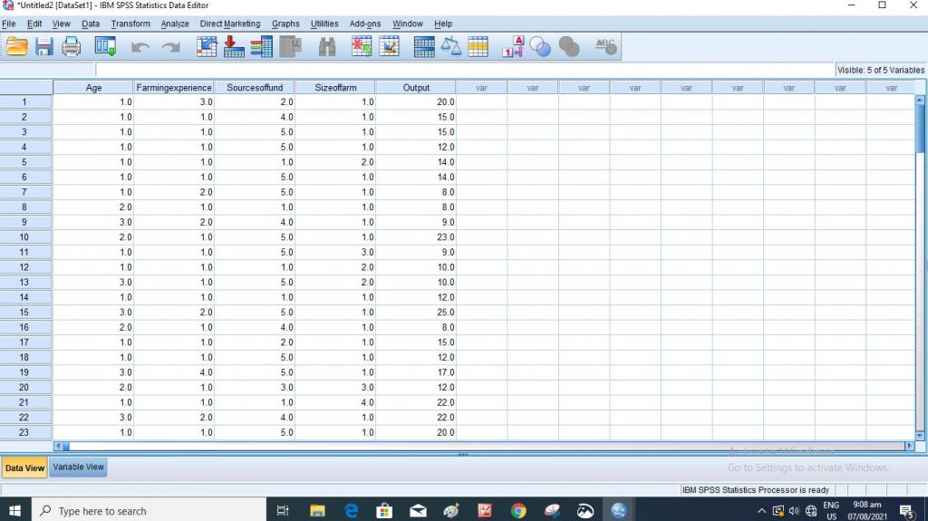 Data view in SPSS