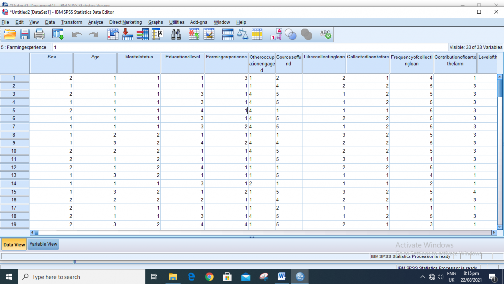 Data view in SPSS