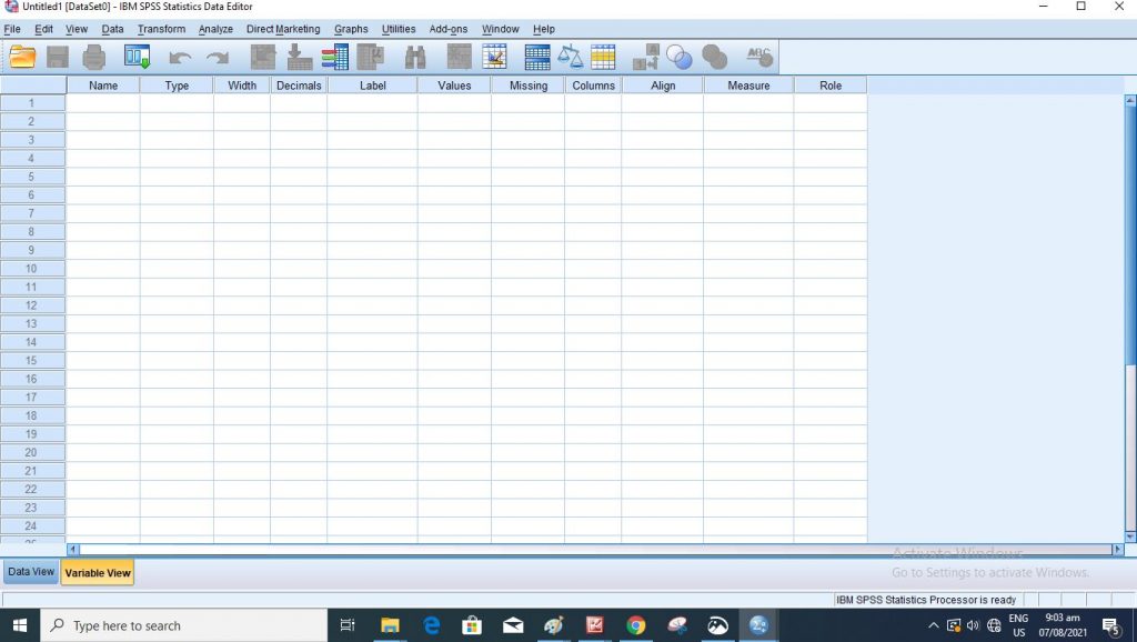 spss interface