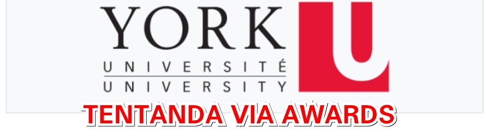 york university logo