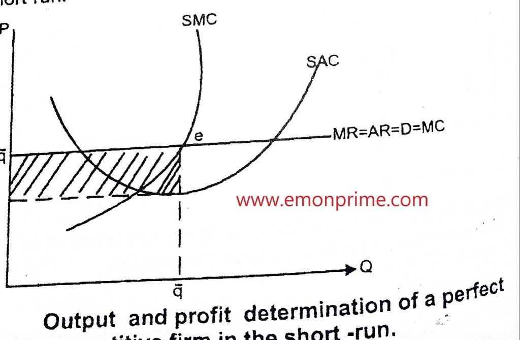 output and profit determination