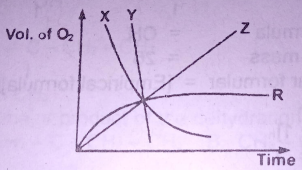 reaction rate diagram
