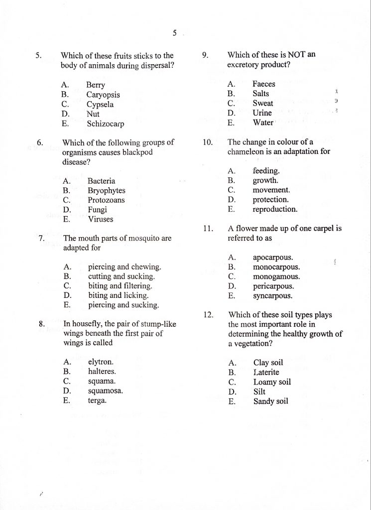 neco biology question paper