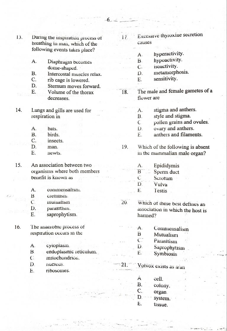2023 neco biology essay and objective question and answer