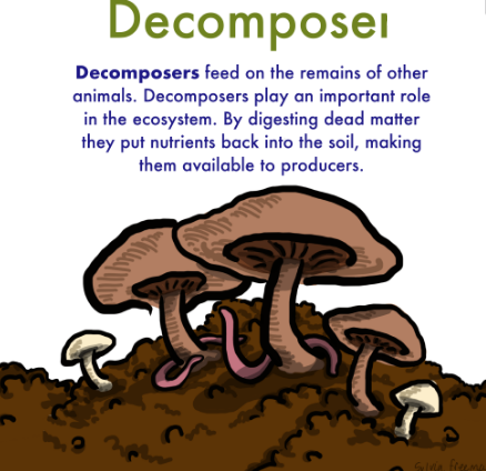 decomposer