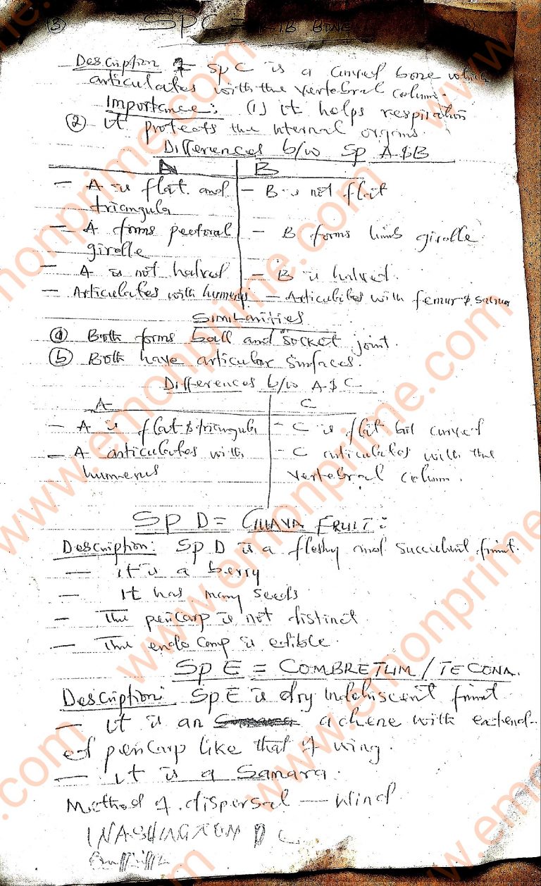 2023 neco biology essay questions and answers