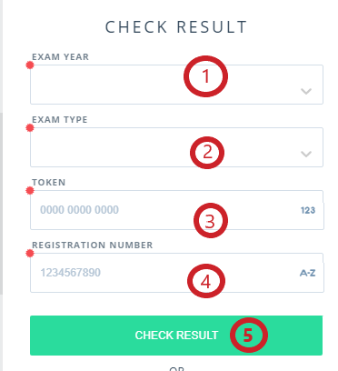 how to check neco result with token