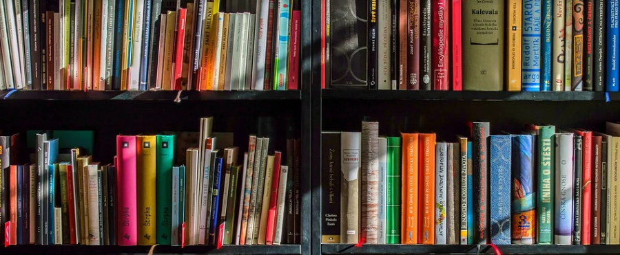 books in the shelf