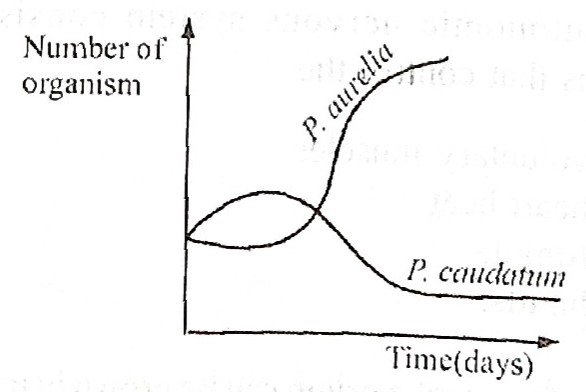 graph showing interaction between two species of paramecium