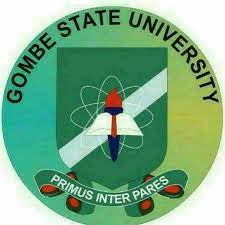 gsu courses and requirements