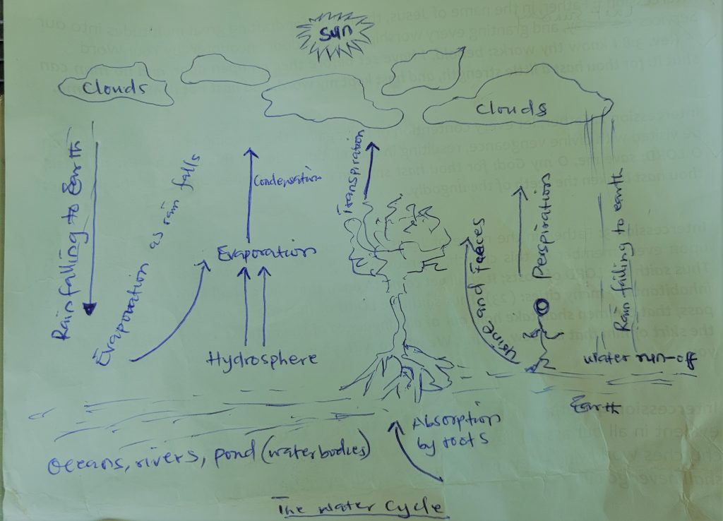 water cycle