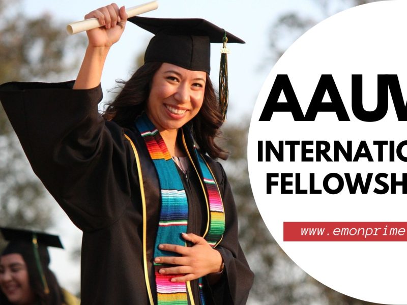 aau internal fellowships