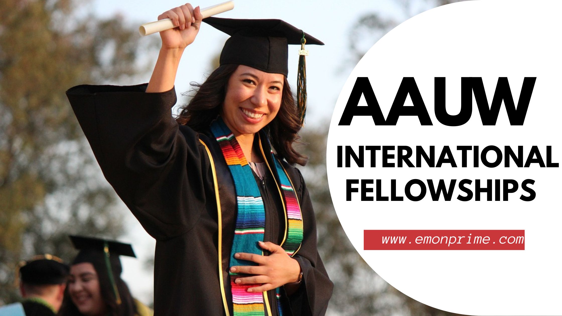 aau internal fellowships