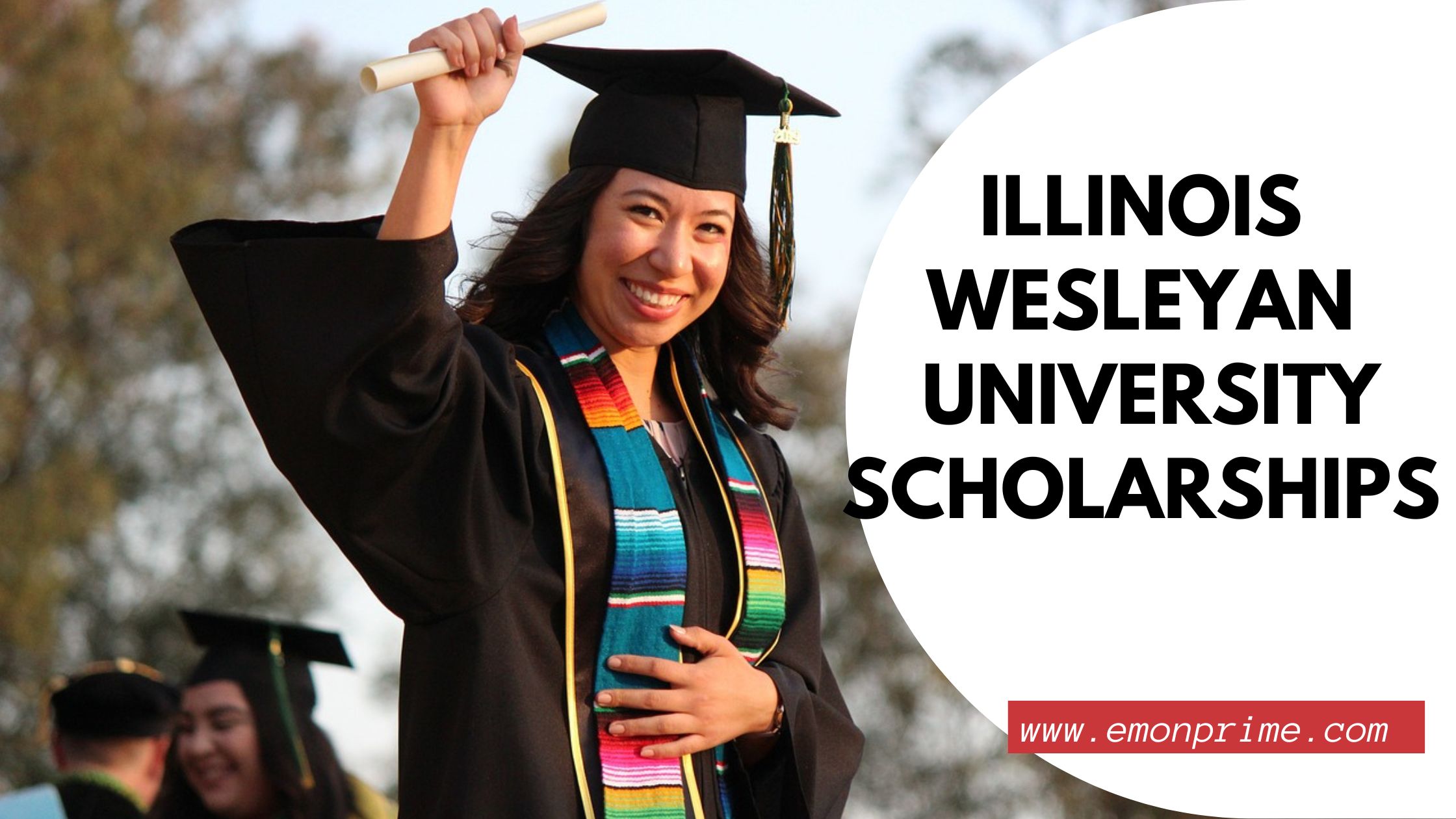 illinois wesleyan university scholarship
