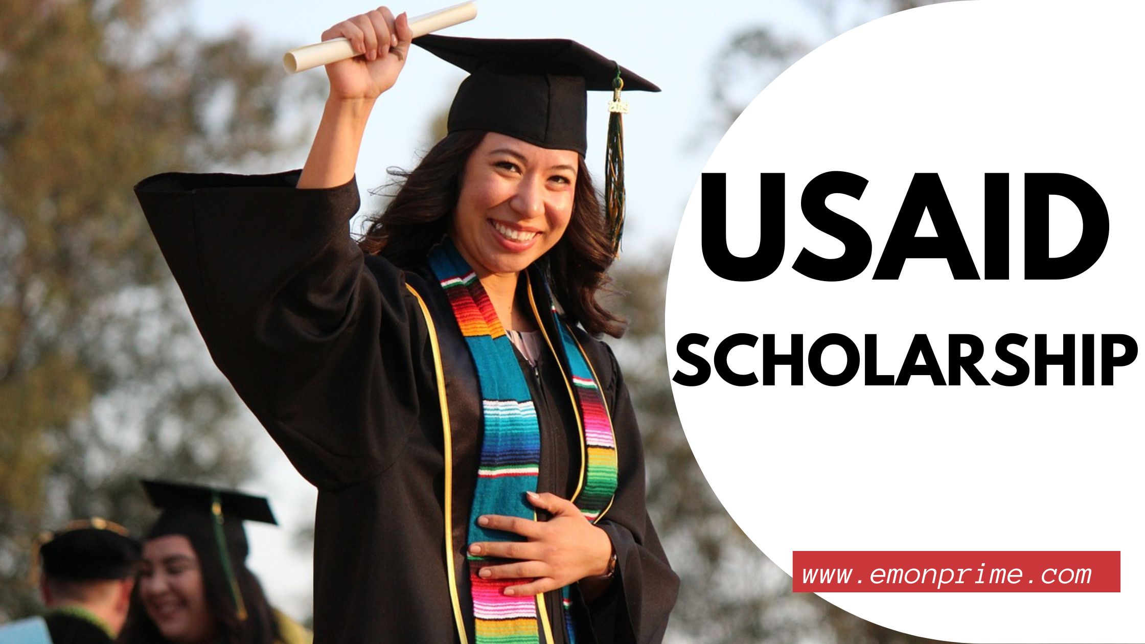 usaid scholarship