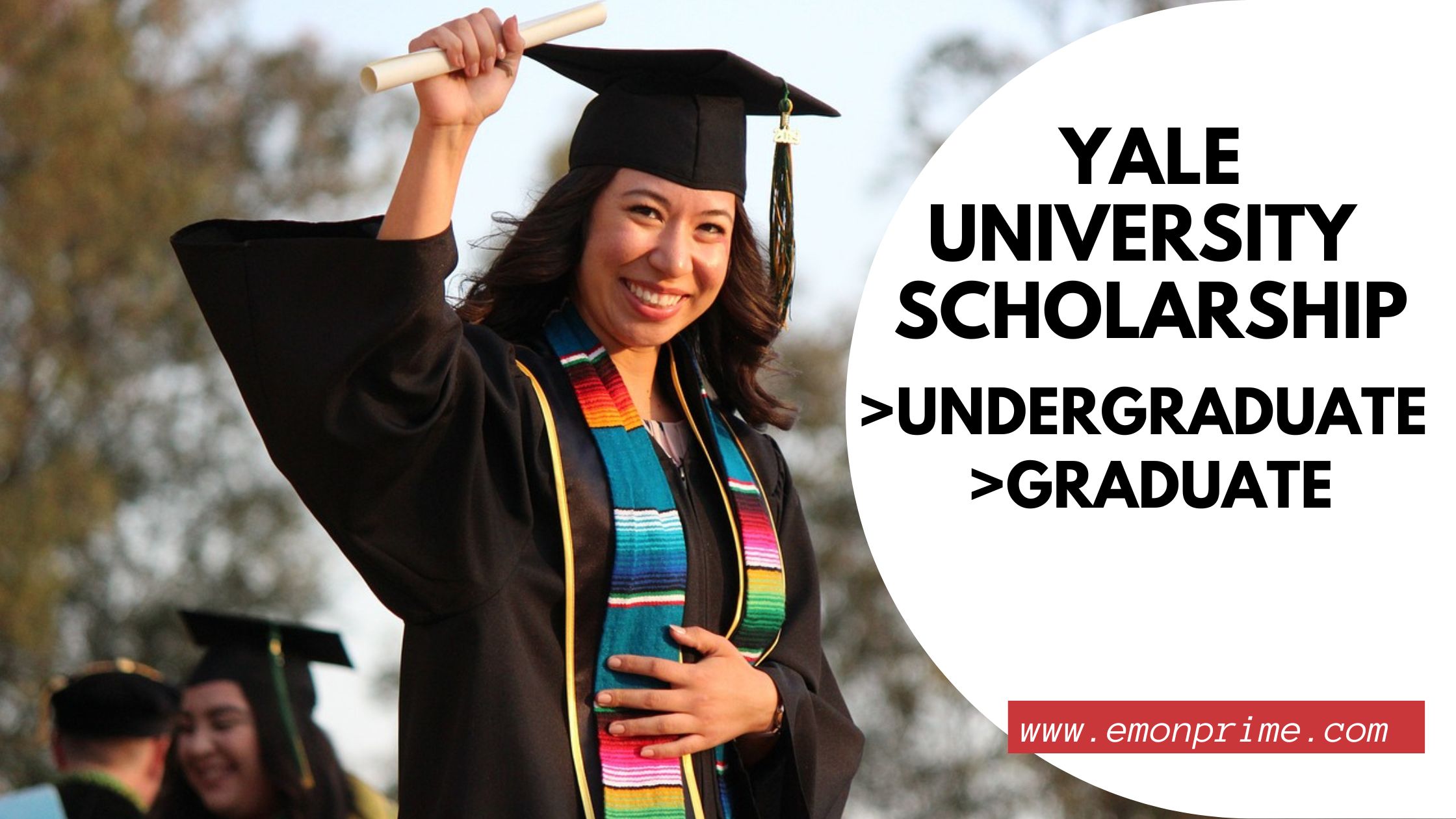 yale university scholarships